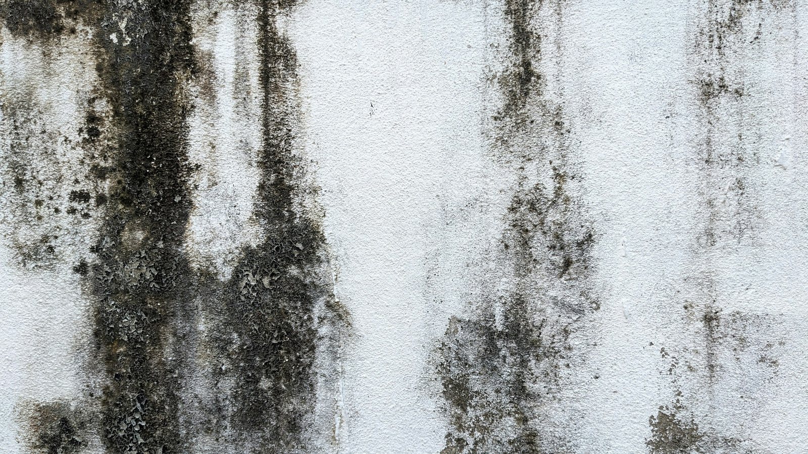 Parede clara com faixas escuras de umidade e mofo escorrendo de cima para baixo