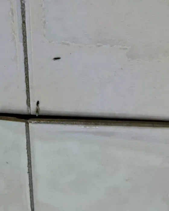 Azulejos com a fiada de cima desplacando e a junta horizontal aberta entre as peças